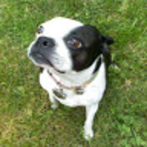 Meet your Posher, Kimberly d.